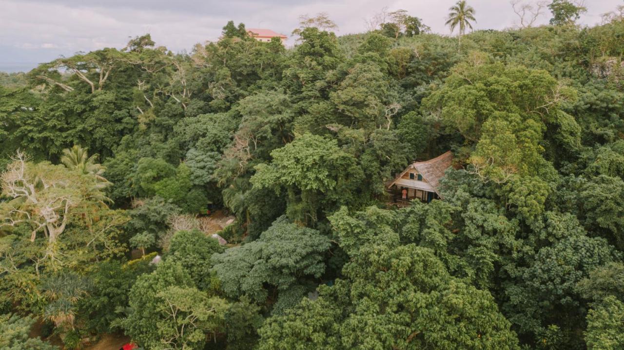 Treetops Boutique Hotel & Bungalows Port-Vila Extérieur photo